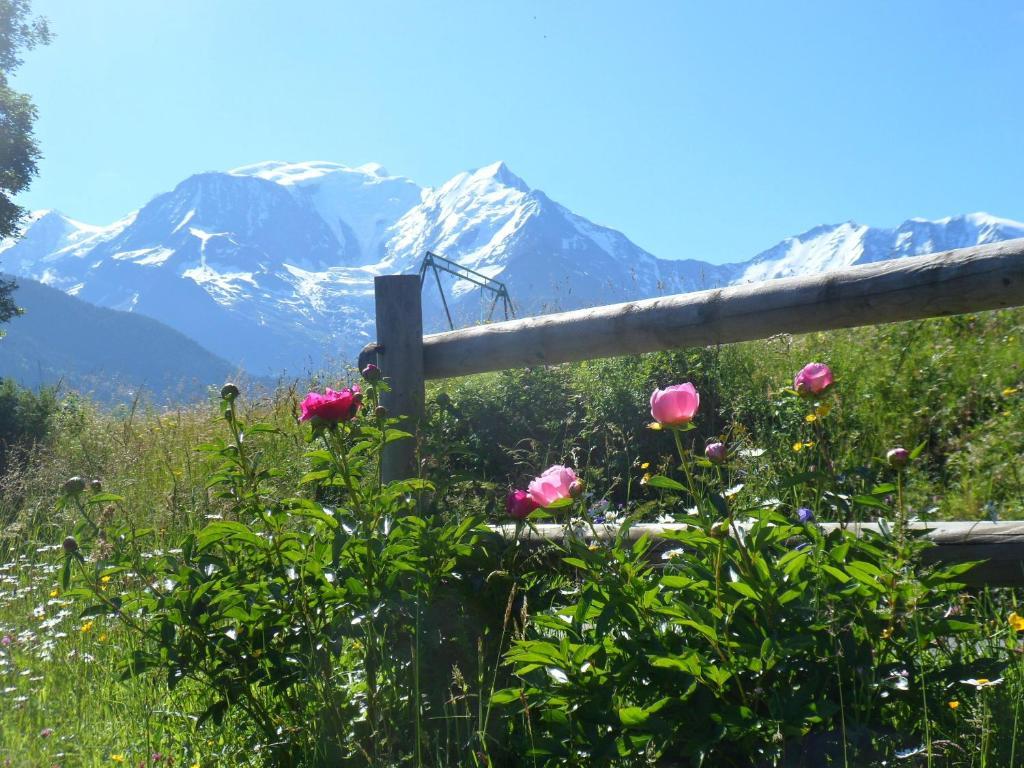 Marie Mont Blanc Vue Mont Blanc Apartamento Saint-Gervais-les-Bains Exterior foto
